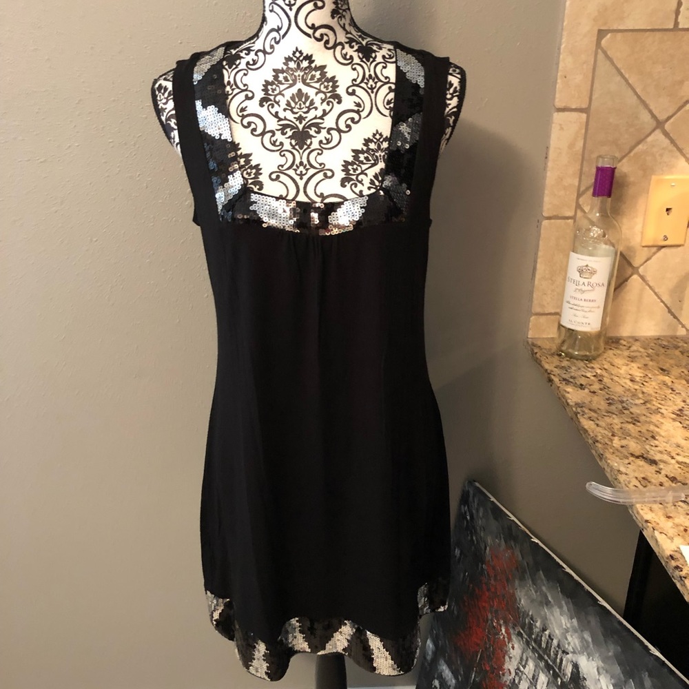 Lg Express sequin dress